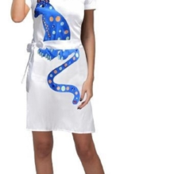 Abba Blue Cat Dress Costume