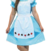 Alice In Wonderland Tween Costume