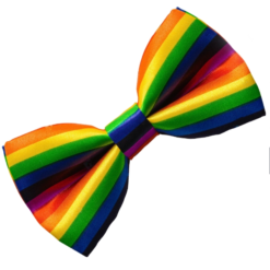 Bowtie Rainbow