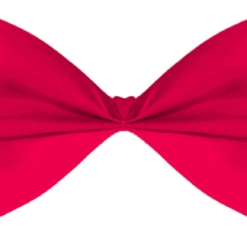 Bowtie Red