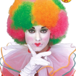 Clown Multi Colour Wig