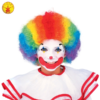 Clown Rainbow Childrens Wig
