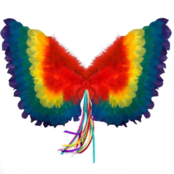 Feathered Wings Small Raibow