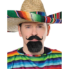 Fiesta Goatee Set