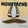 Gentlemans Brown Moustache