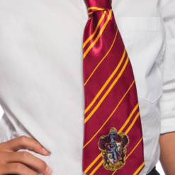 Harry Potter Gryffindor Tie