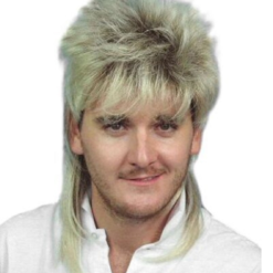 Mullet Blonde Two Tone Wig